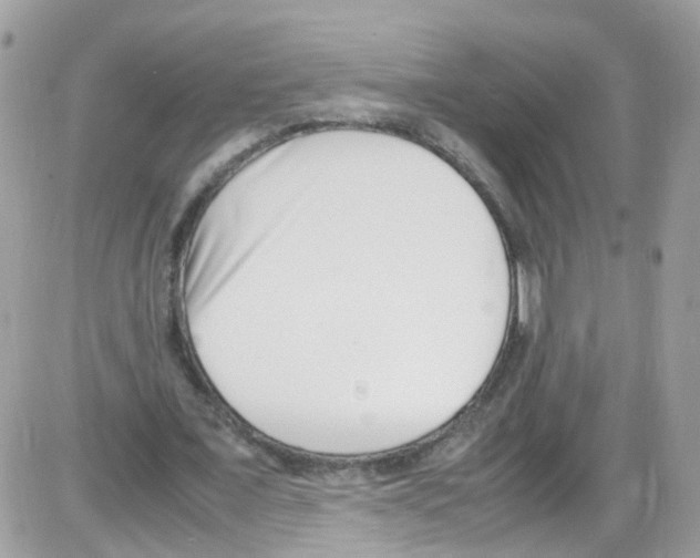 X0000086110675200704202306