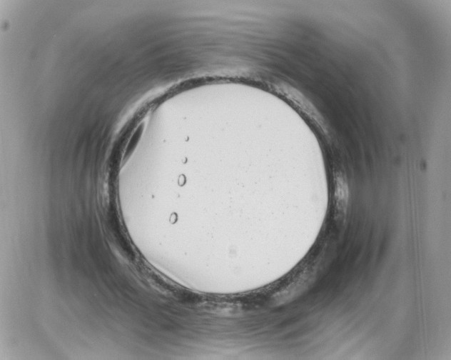 X0000086110676200704202306