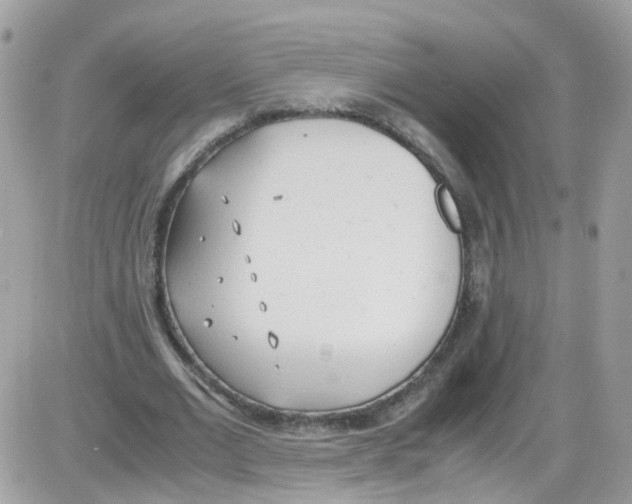 X0000086110677200704202306