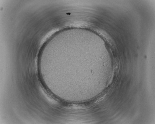 X0000086110678200704202306