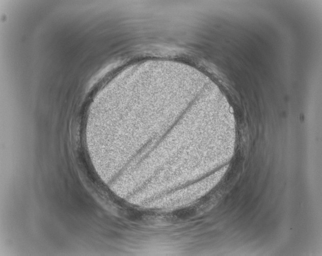 X0000086110679200704202306