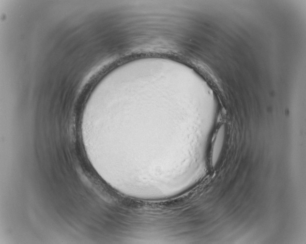 X0000086110680200704202306