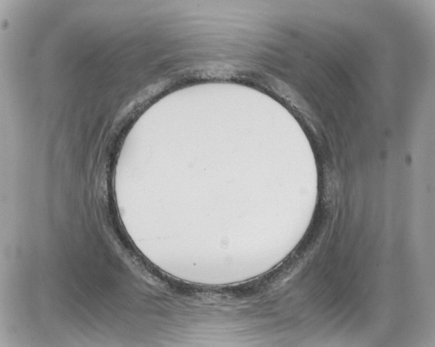 X0000086110681200704202306