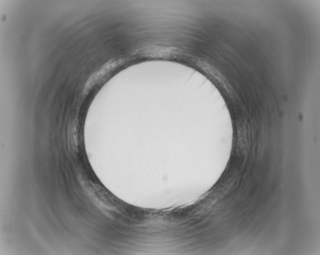 X0000086110682200704202306