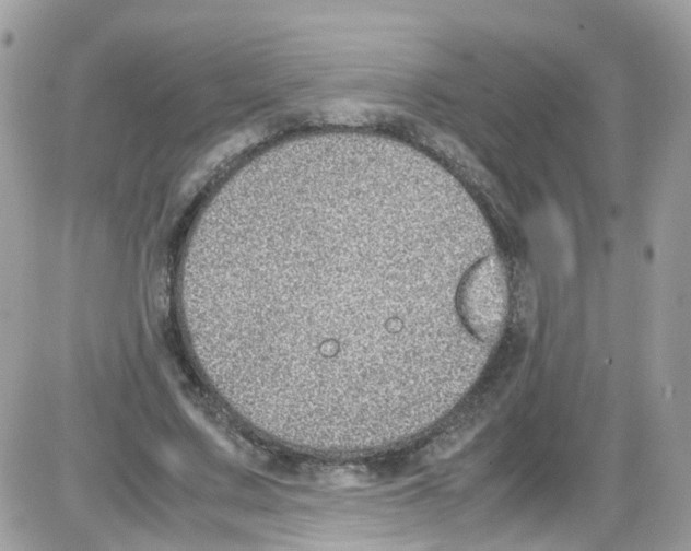 X0000086110683200704202306