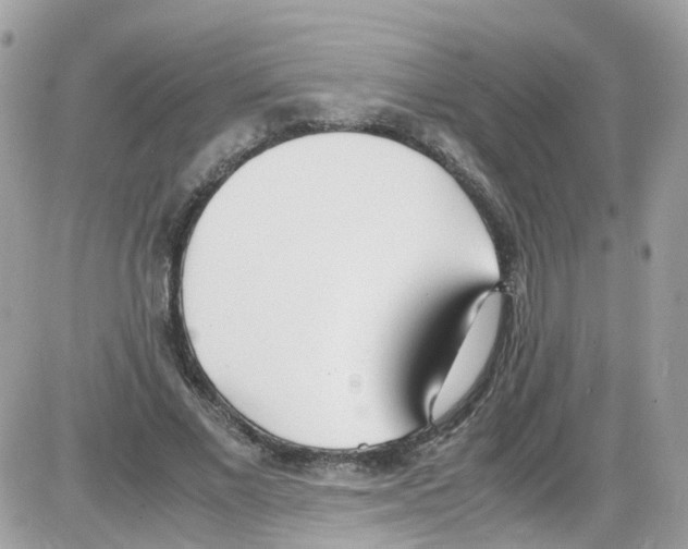 X0000086110685200704202306