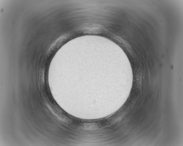 X0000086110686200704202306