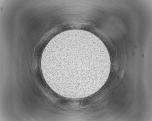 X0000086110687200704202306