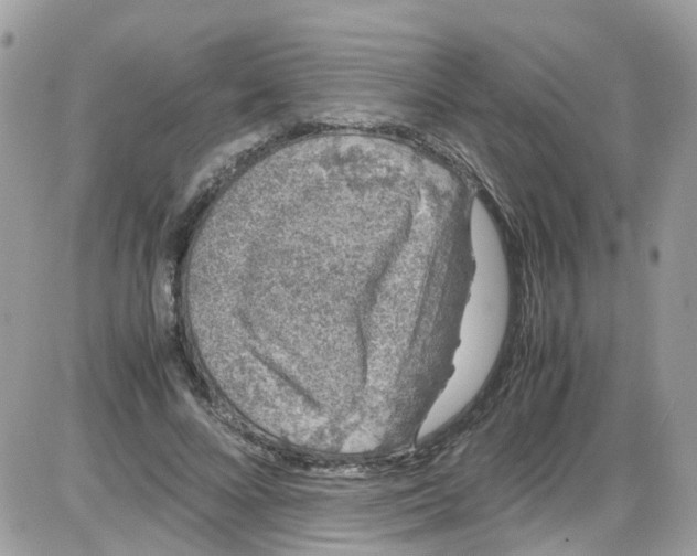 X0000086110688200704202306