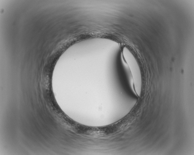 X0000086110689200704202306