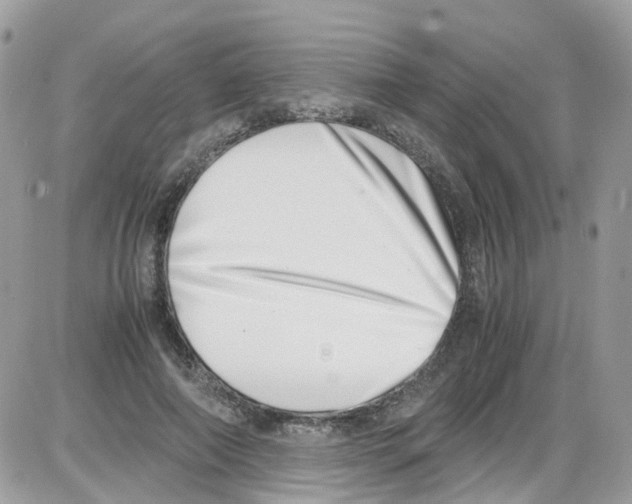 X0000086110690200704202306