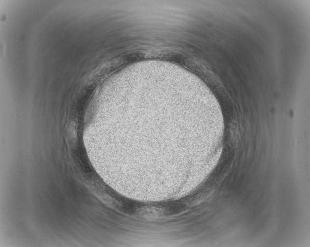 X0000086110691200704202306