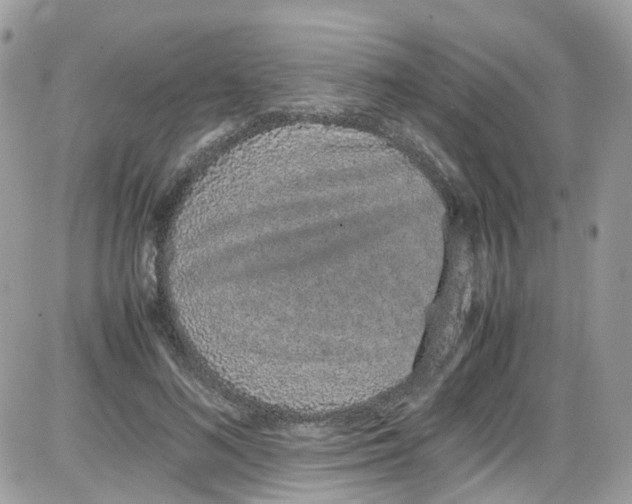 X0000086110692200704202306