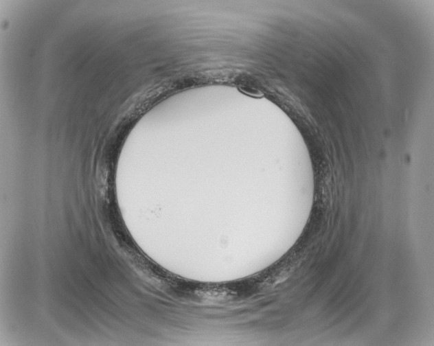 X0000086110693200704202306