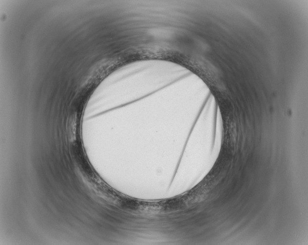 X0000086110694200704202306