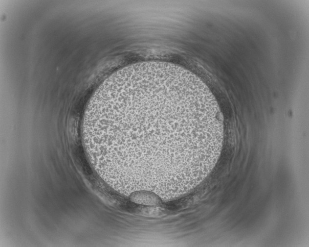 X0000086110695200704202306