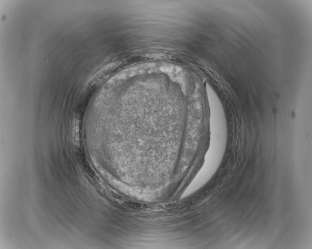 X0000086110696200704202306