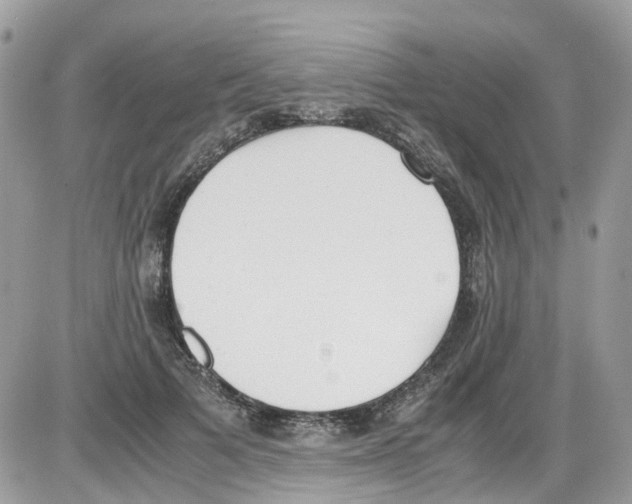 X0000086110697200704202306