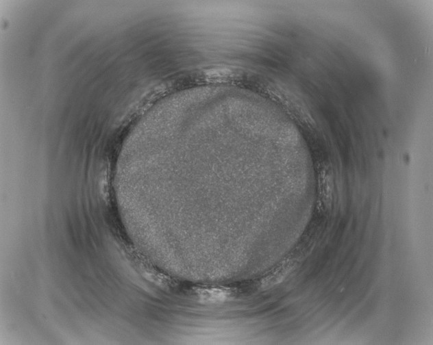 X0000086110698200704202306