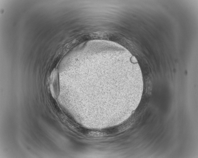 X0000086110699200704202306