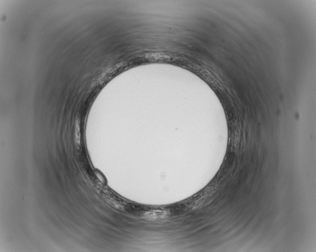 X0000086110700200704202306