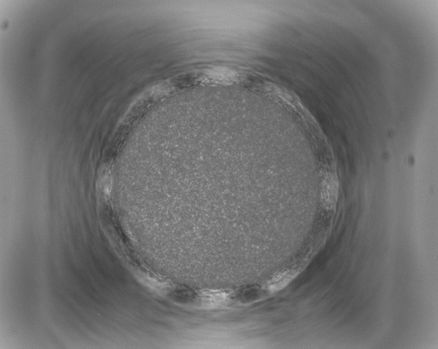 X0000086110701200704202306