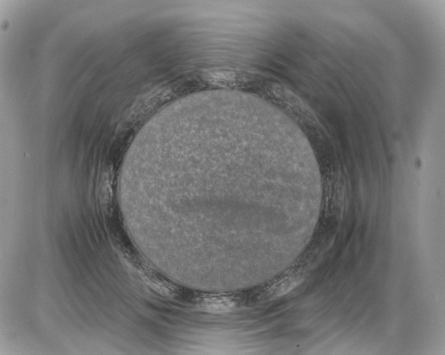 X0000086110702200704202306