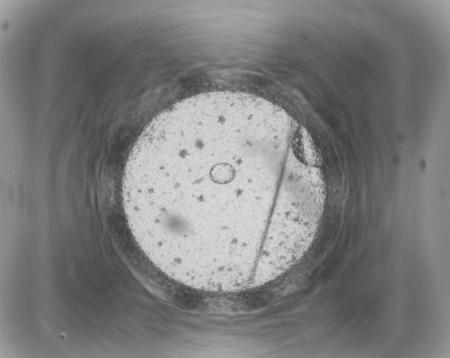 X0000086110703200704202306