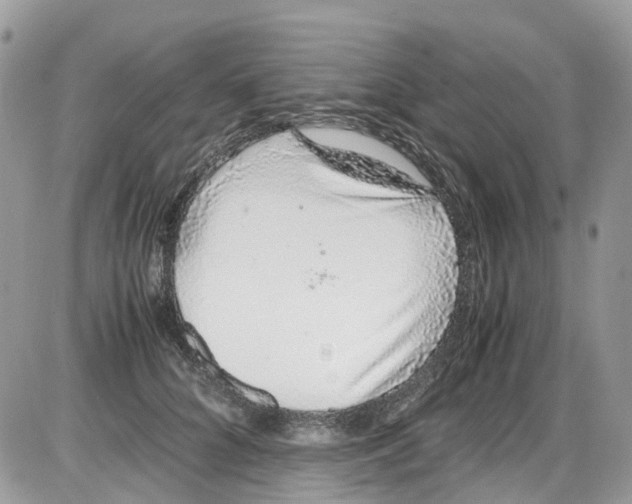 X0000086110704200704202306