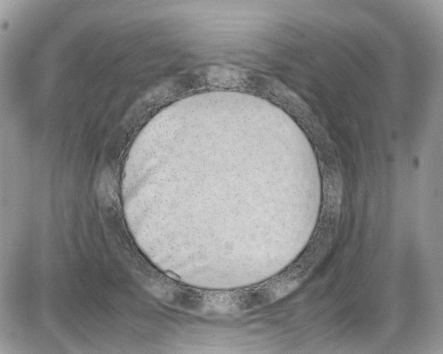 X0000086110705200704202306