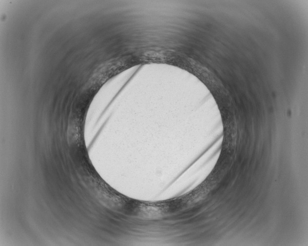 X0000086110706200704202306