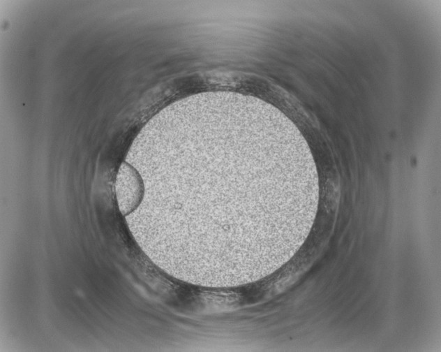 X0000086110707200704202306