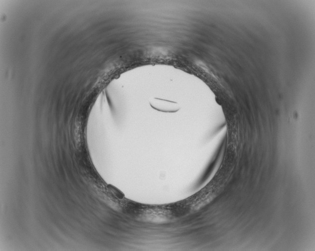 X0000086110708200704202306