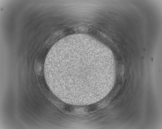 X0000086110709200704202306