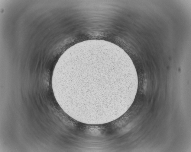 X0000086110710200704202306