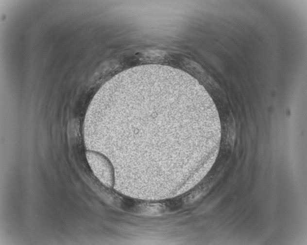 X0000086110711200704202306