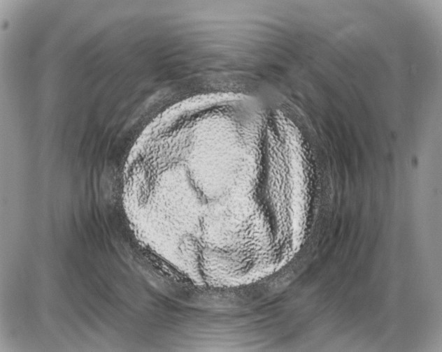 X0000086110712200704202306