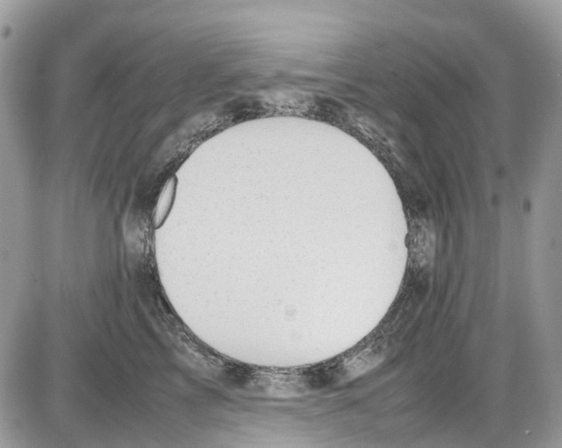 X0000086110713200704202306