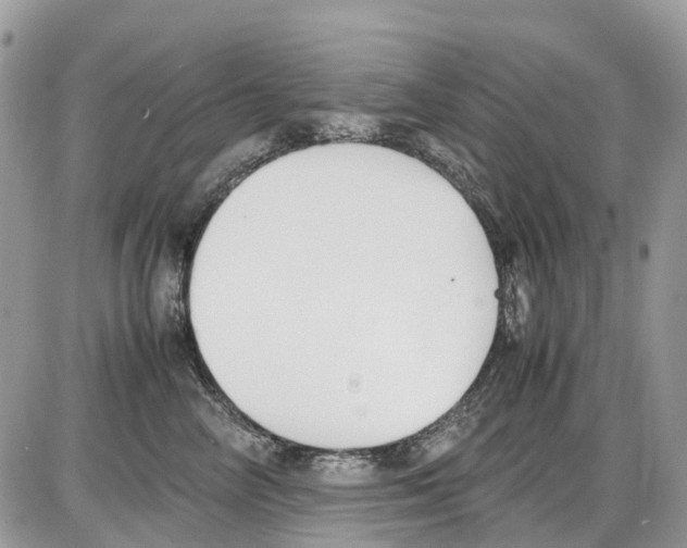 X0000086110714200704202306