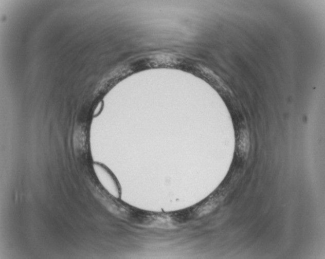 X0000086110715200704202306