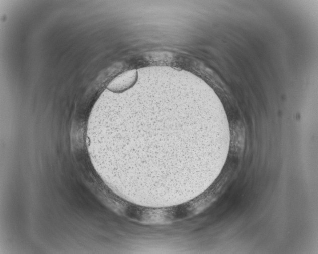 X0000086110717200704202306