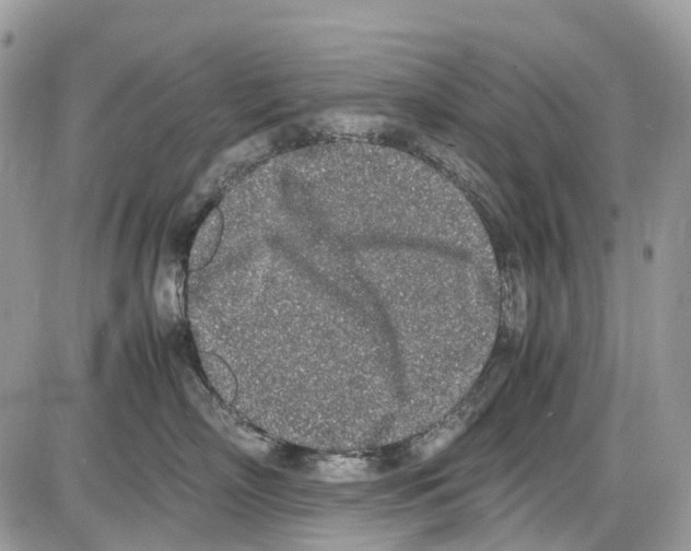 X0000086110718200704202306