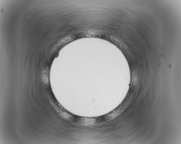 X0000086110719200704202306