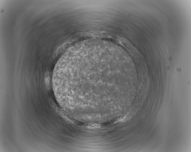 X0000086110720200704202306