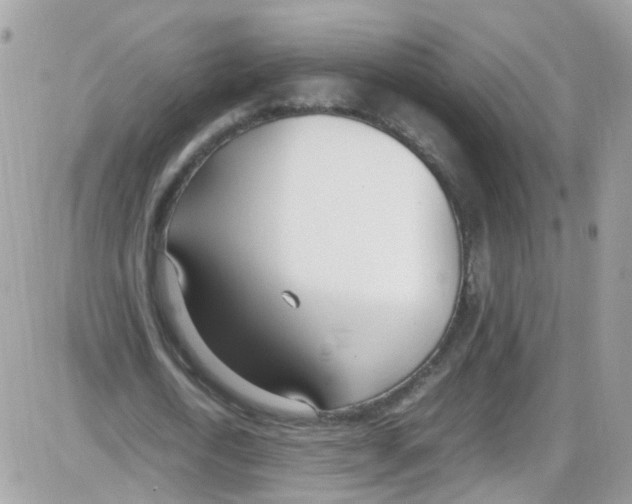 X0000086110722200704202305