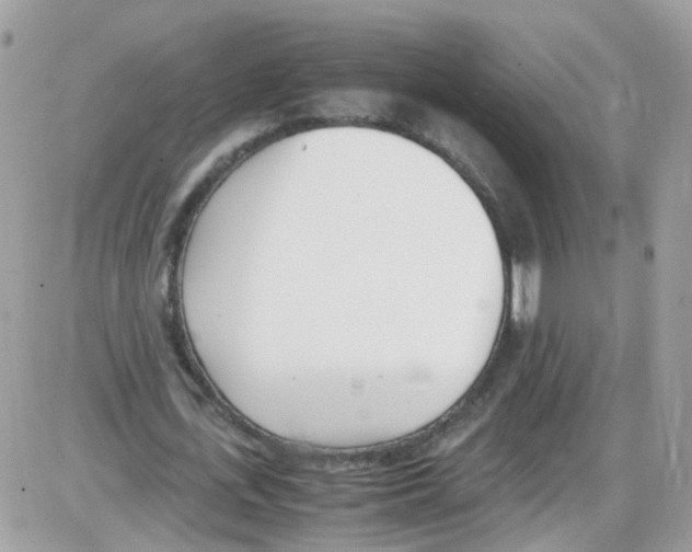 X0000086110723200704202305