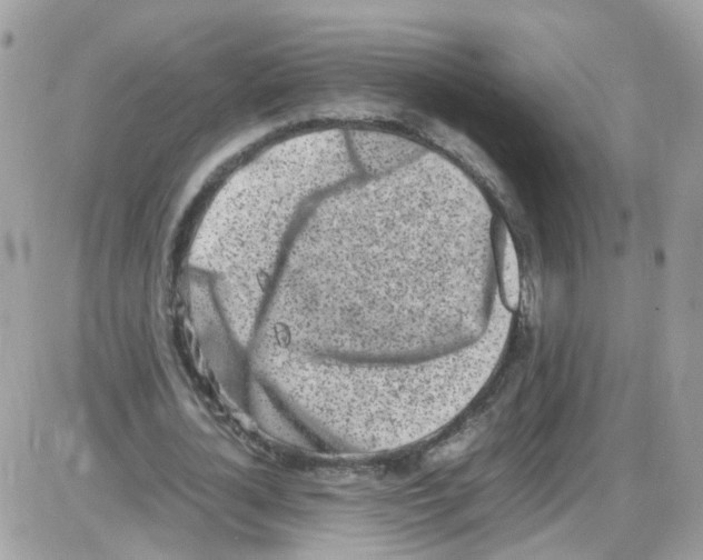 X0000086110724200704202305