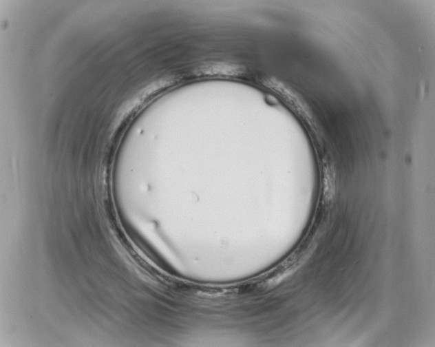 X0000086110725200704202305