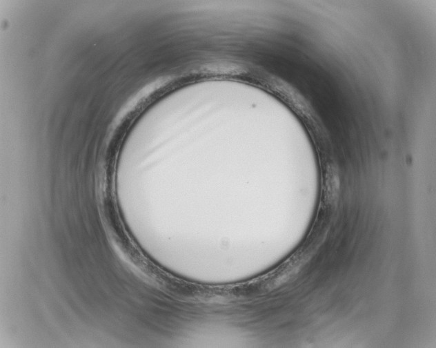 X0000086110726200704202305