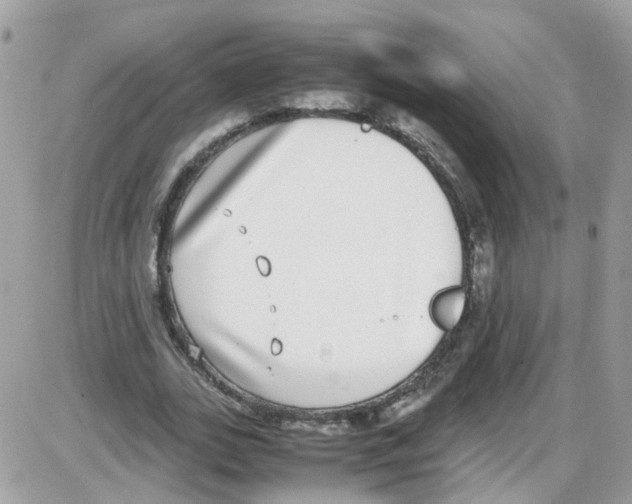 X0000086110727200704202305